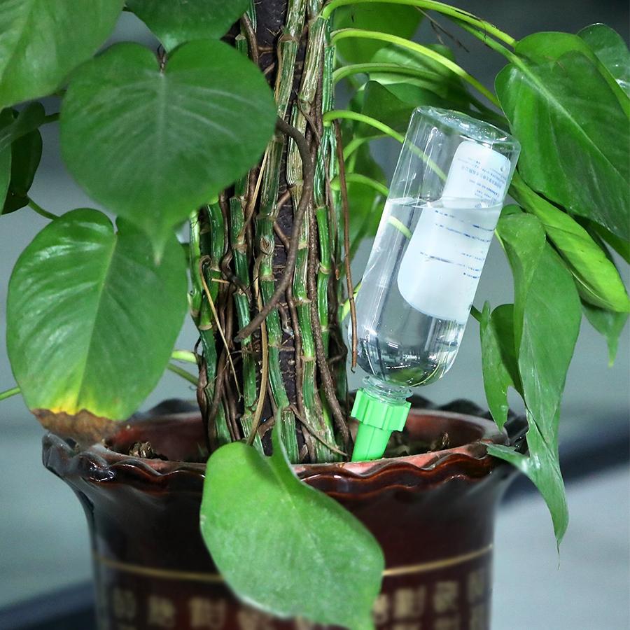 Automatic Watering Spike